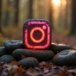 Instagram Pro